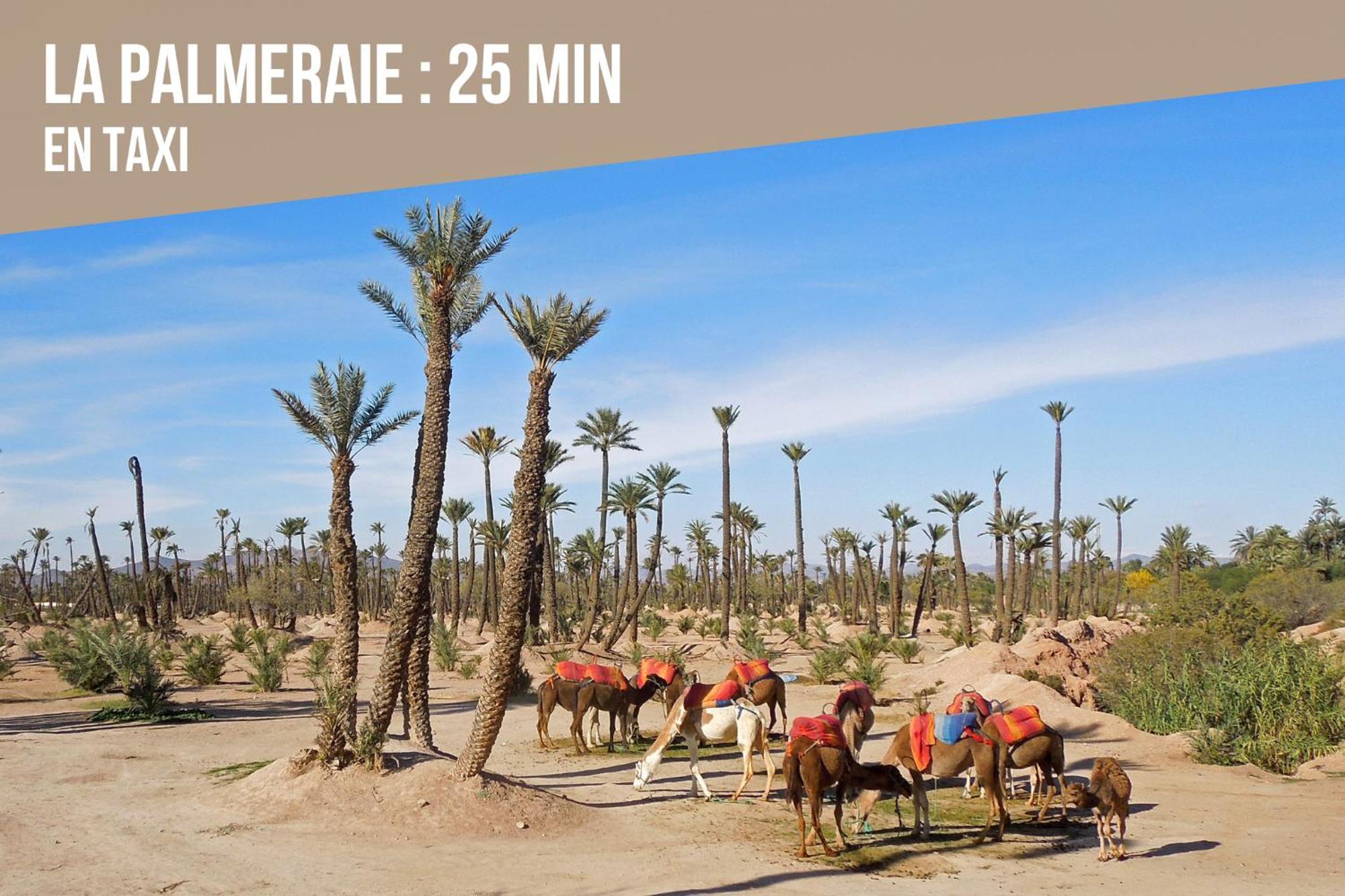Magnifique Appartement Moderne De 2 Chambres Avec Piscine A 10 Min Du Centre De Marrakech Марракеш Екстер'єр фото